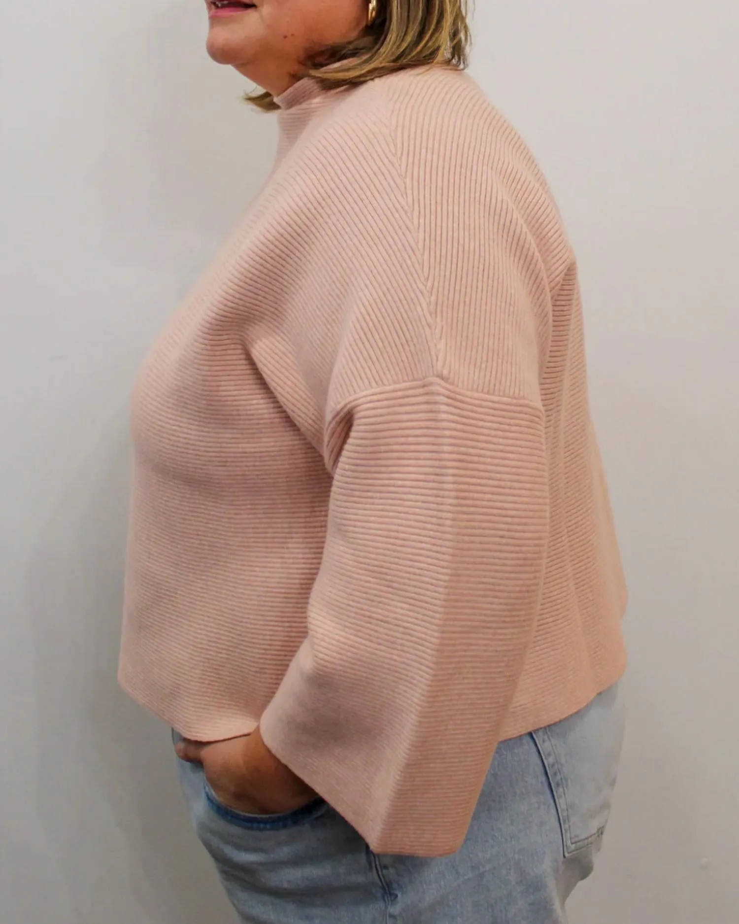 Abbey Ribbed Sweater - Plus In Blush