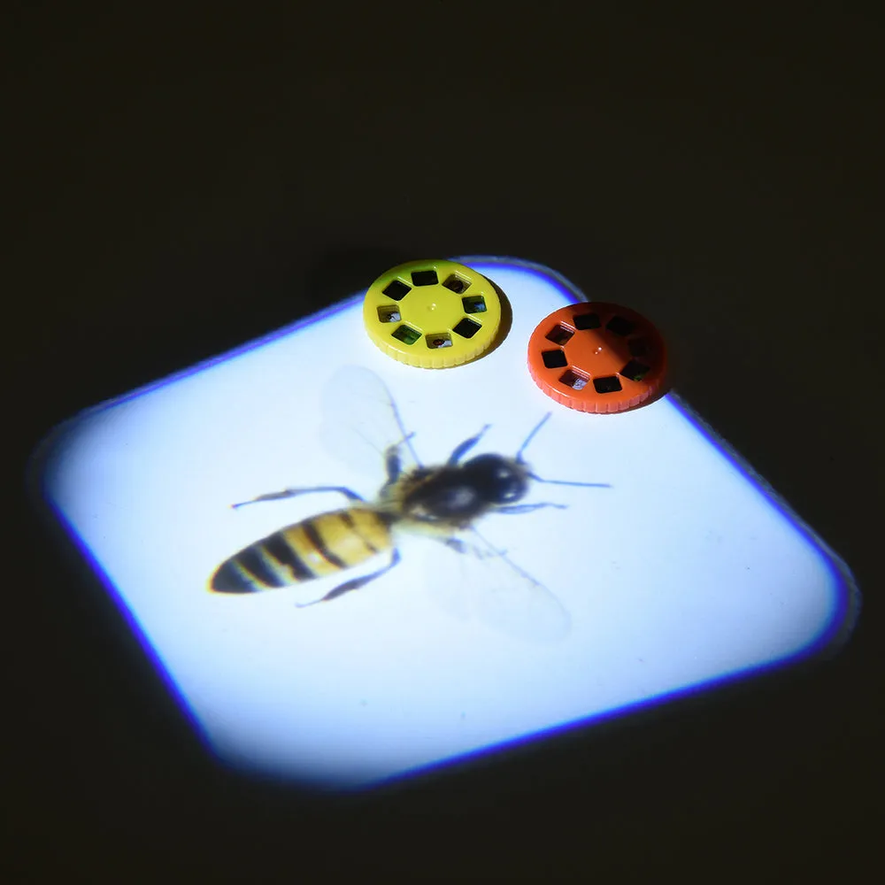 Creepy Crawler Insect Viewer Projector Toy | Includes 3 Image Reels